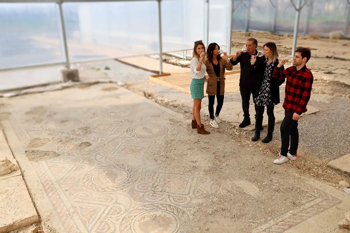 Roman Villa Mosaics Tour &amp; Valpolicella Wine Tasting