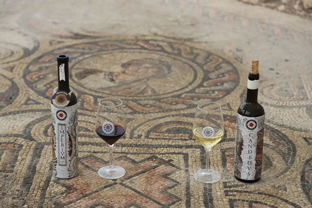 Roman Villa Mosaics Tour &amp; Valpolicella Wine Tasting