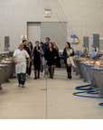 Parmesan Cheese Factory near Modena: Tasting & Tour