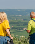 Wine tour and Tasting in a small Estate on Valpolicella Hills