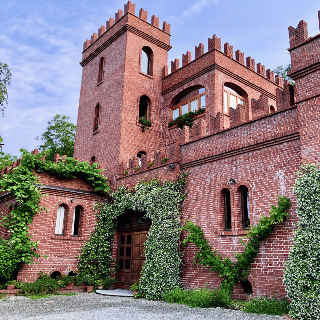 Castle Winery Tour & Tasting near Lake Maggiore