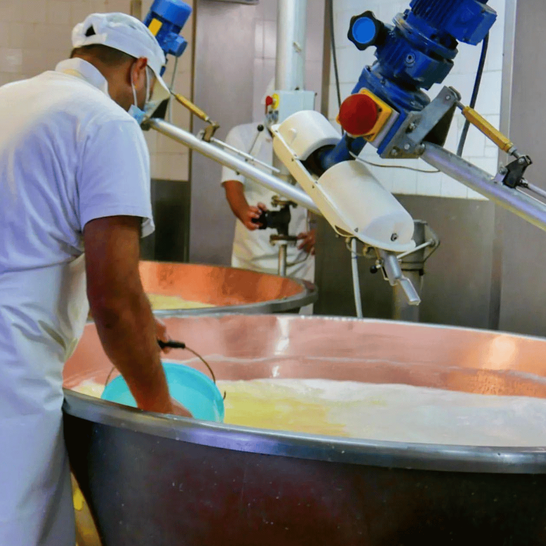 Parmesan Wheels near Parma: Tasting & Factory Tour