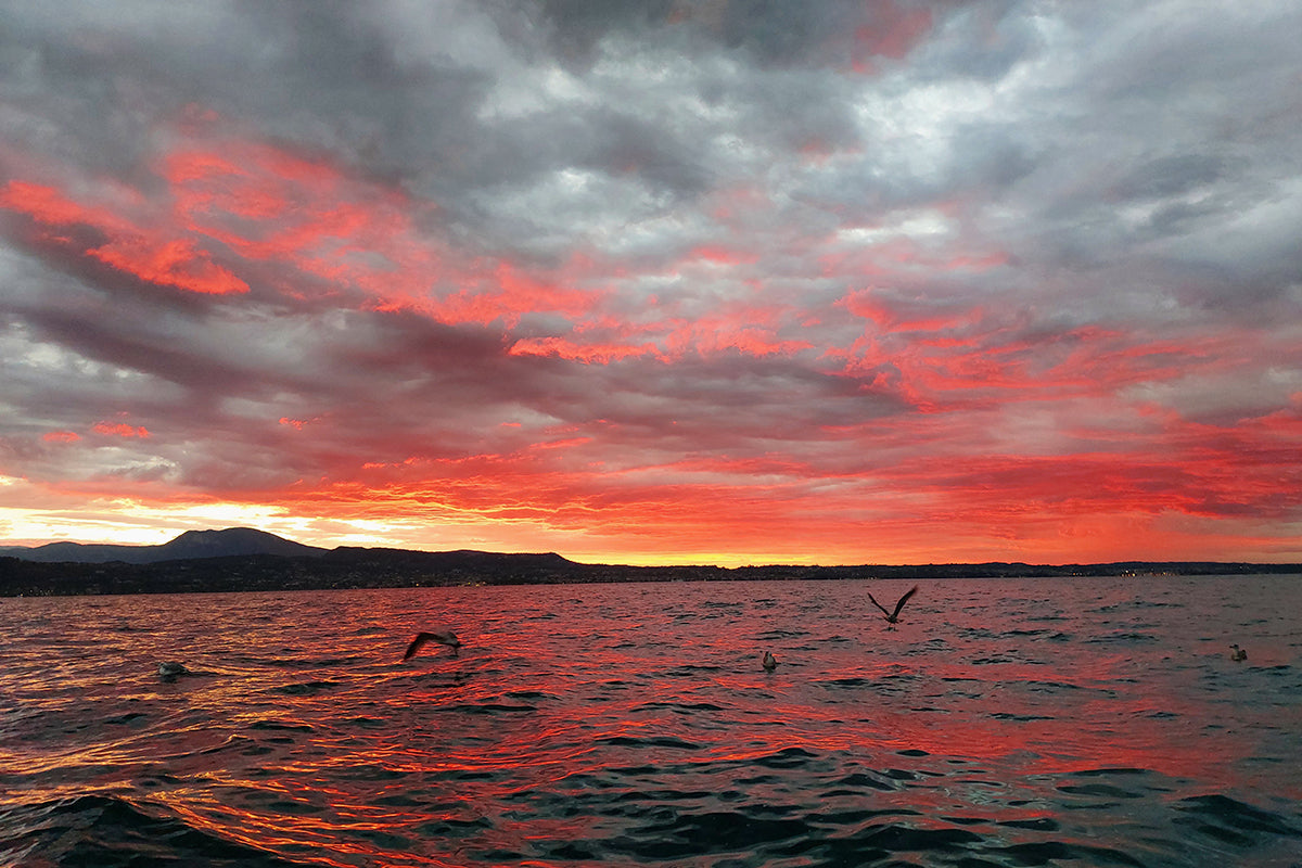 Sunset Cruise with wine aperitif from Lazise