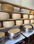 Parmesan Wheels near Parma: Tasting & Factory Tour