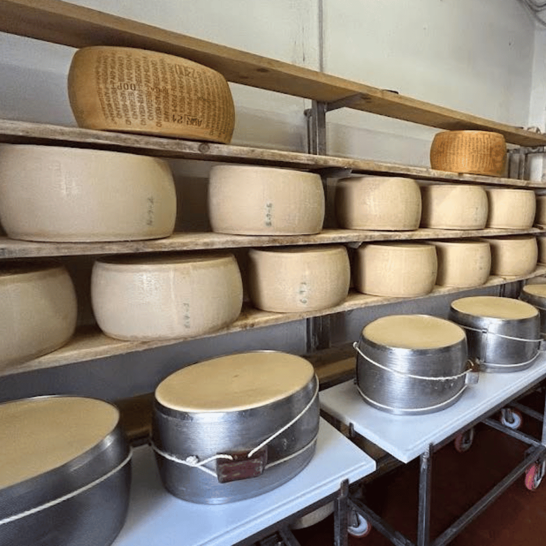 Parmesan Wheels near Parma: Tasting &amp; Factory Tour