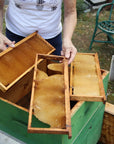 Beekeeping Farm Tour and Tasting Experience