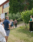 Tour and tasting of local young Wines in Valeggio