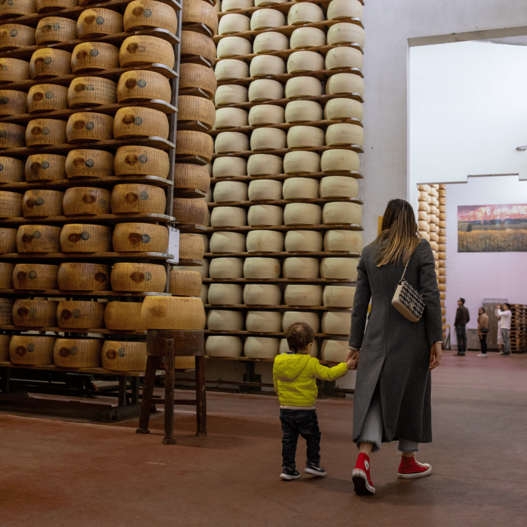 Parmesan Cheese Factory near Modena: Tasting &amp; Tour