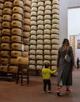 Parmesan Cheese Factory near Modena: Tasting & Tour