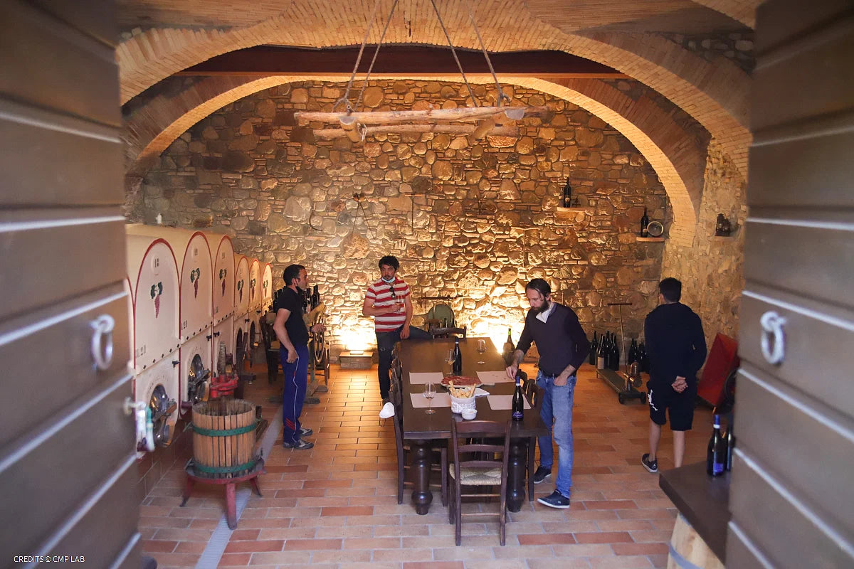 Vineyard Tour and Tasting of Lugana Wines