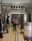 Vineyard Tour and Tasting of Lugana Wines