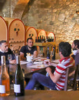 Vineyard Tour and Tasting of Lugana Wines