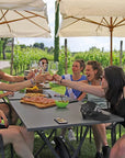 Wine and Food Tasting in the Vineyards